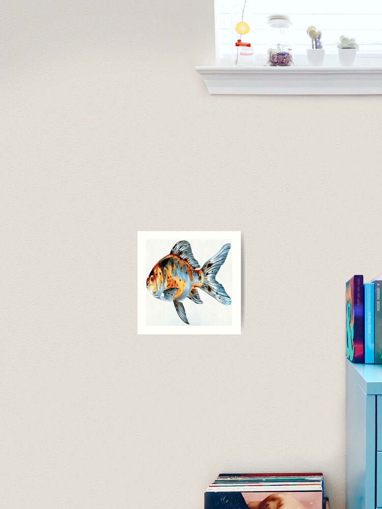 Impression Artistique Art De Poisson Rouge Shubunkin Bleu Et Orange Par Taiche Redbubble