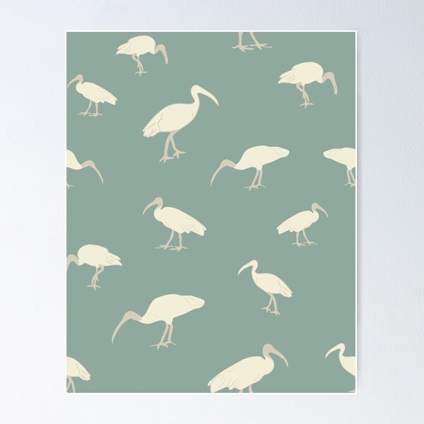 Item preview, Brisbane Ibis artwork, Green bird art print, Australian art designed and sold by sassykea.
