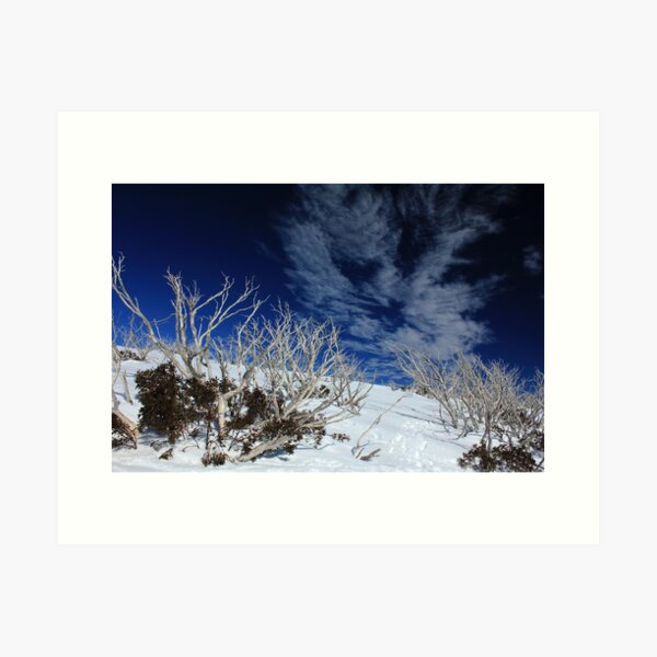 Item preview, Mt Hotham trees designed and sold by Charles Kosina.