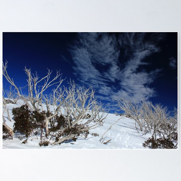 Item preview, Mt Hotham trees designed and sold by Charles Kosina.