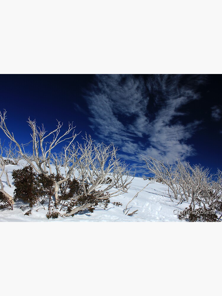 Thumbnail 3 of 3, Sticker, Mt Hotham trees designed and sold by charlesk.