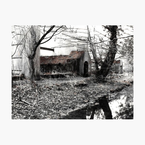 Artikelvorschau, Chilworth Gunpowder Mills entworfen und verkauft von Colin  Williams Photography.