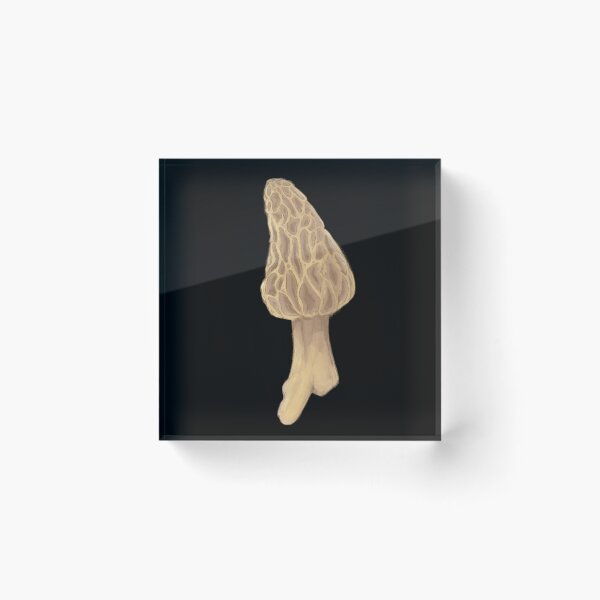 Item preview, morel mushroom designed and sold by Beelixir.