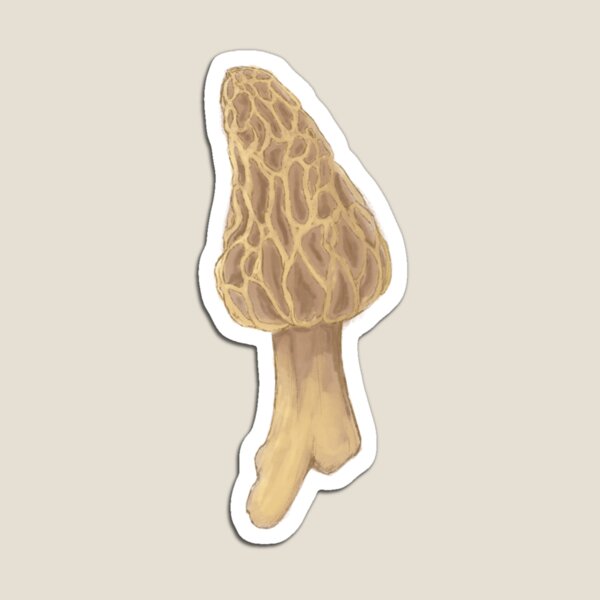 Item preview, morel mushroom designed and sold by Beelixir.