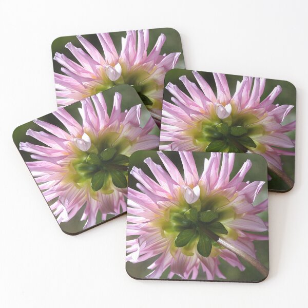 Item preview, Back To Dahlia designed and sold by Joy Watson - Natural Light Photography .