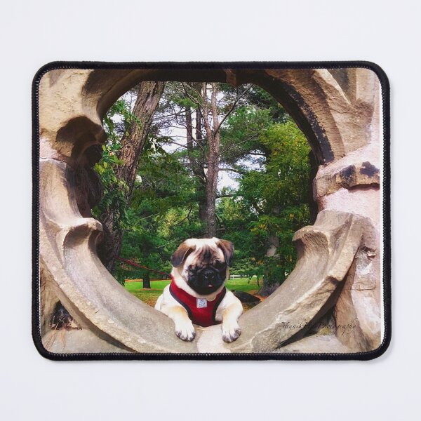 Item preview, Lilly at MacKenzie-King Park designed and sold by Yannik Hay.