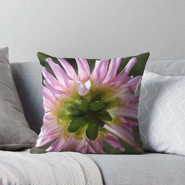 Artikelvorschau, Zurück zu Dahlia entworfen und verkauft von Joy Watson - Natural Light Photography .