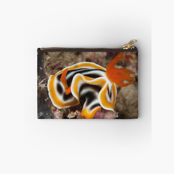 Item preview, Chromodoris magnifica, Mabul, Malaysia designed and sold by Erik Schlogl.