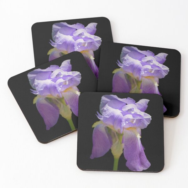 Item preview, Iris Single Bloom - fondo negro designed and sold by Louise-Mae.