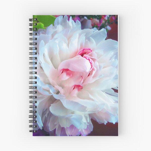 Aperçu de l'œuvre Pivoine Festiva Maxima créée et vendue par Jessica Jenney.