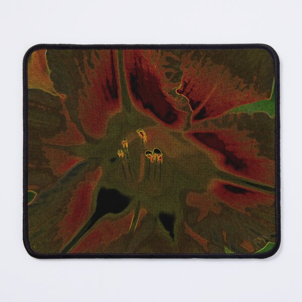 Item preview, Inflorescence of Allium aflatunense designed and sold by pASob-dESIGN.
