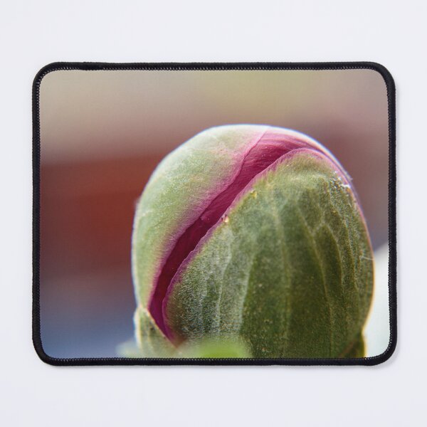 Item preview, Bud of a Peony/Pfingstrosen designed and sold by pASob-dESIGN.