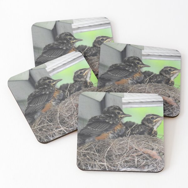 Item preview, Baby Robins designed and sold by Faunagraphy360.