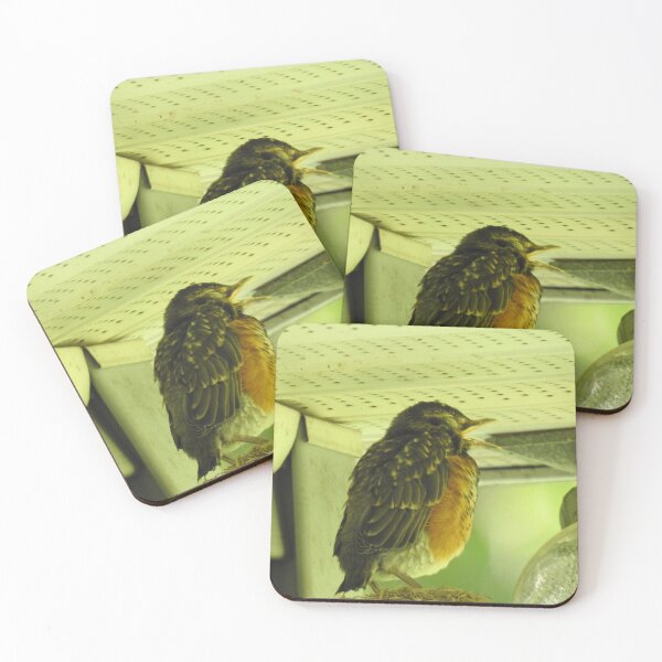 Item preview, Baby Robin designed and sold by Faunagraphy360.