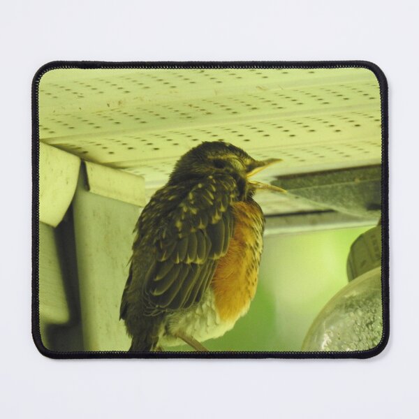 Item preview, Baby Robin designed and sold by Faunagraphy360.