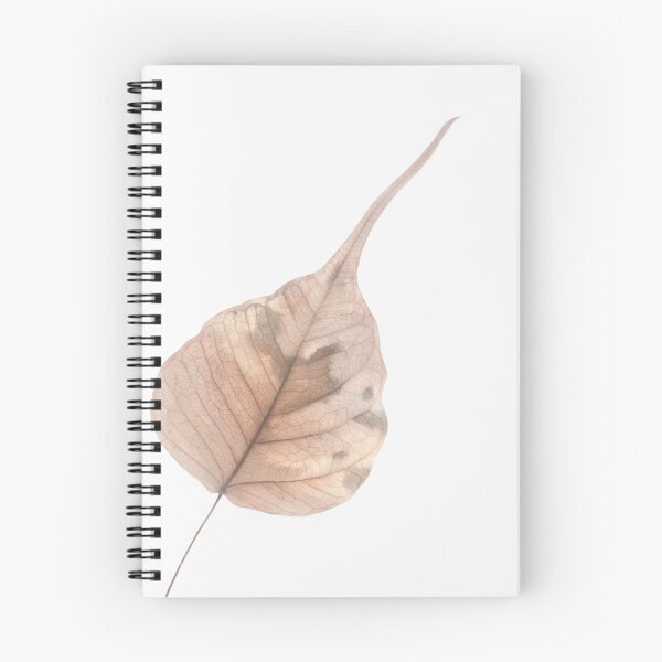 Aperçu de l'œuvre Feuille sèche en forme de coeur créée et vendue par elchan.