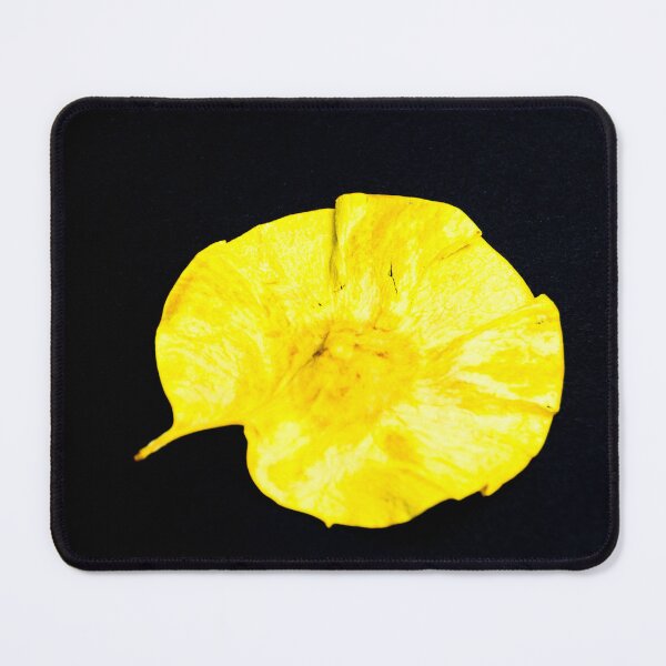 Item preview, Gelbes Blatt  designed and sold by pASob-dESIGN.