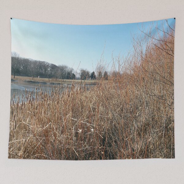 Item preview, The Pond Over the Cattails designed and sold by Scott and Mary Schneider art_photography.