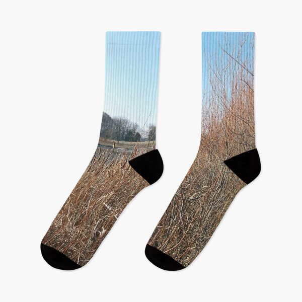Item preview, The Pond Over the Cattails designed and sold by Scott and Mary Schneider art_photography.