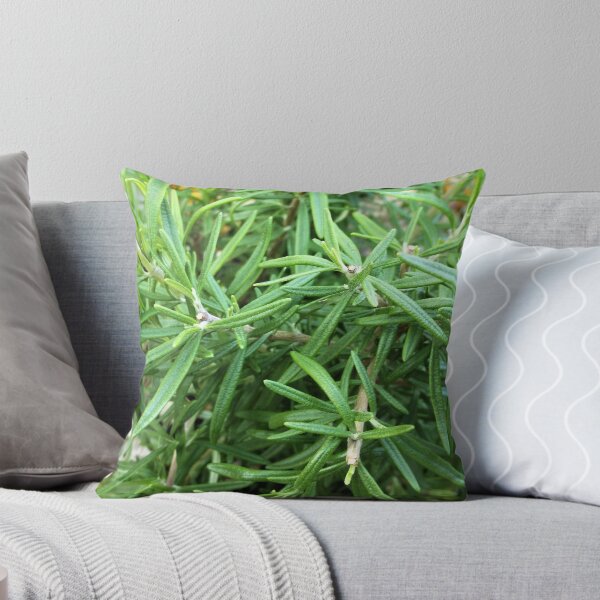 Item preview, Rosemary - Herb designed and sold by Scott and Mary Schneider art_photography.