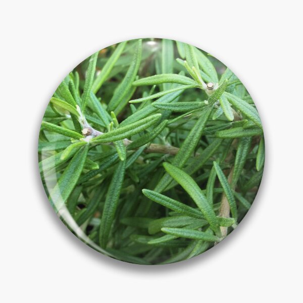 Item preview, Rosemary - Herb designed and sold by Scott and Mary Schneider art_photography.