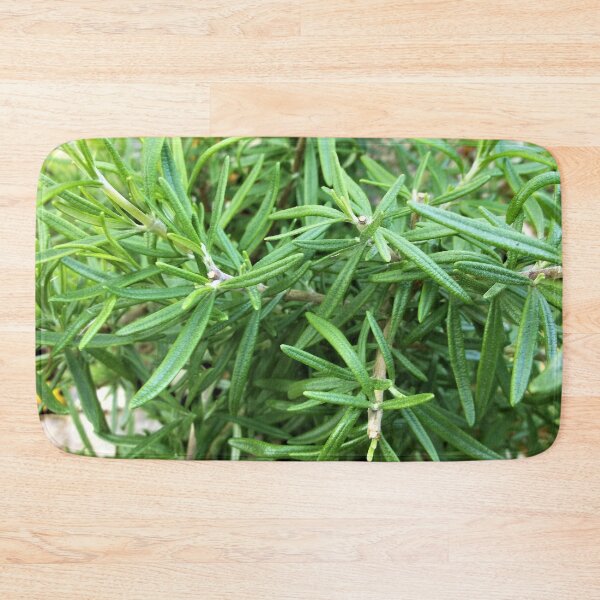 Item preview, Rosemary - Herb designed and sold by Scott and Mary Schneider art_photography.