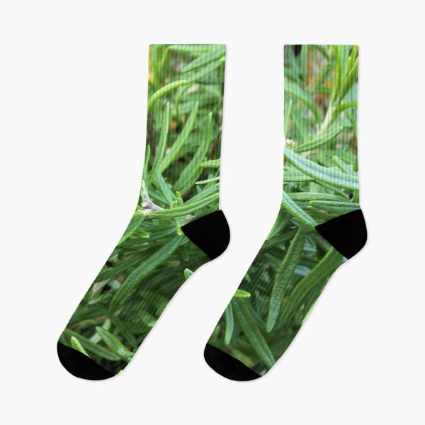 Item preview, Rosemary - Herb designed and sold by Scott and Mary Schneider art_photography.