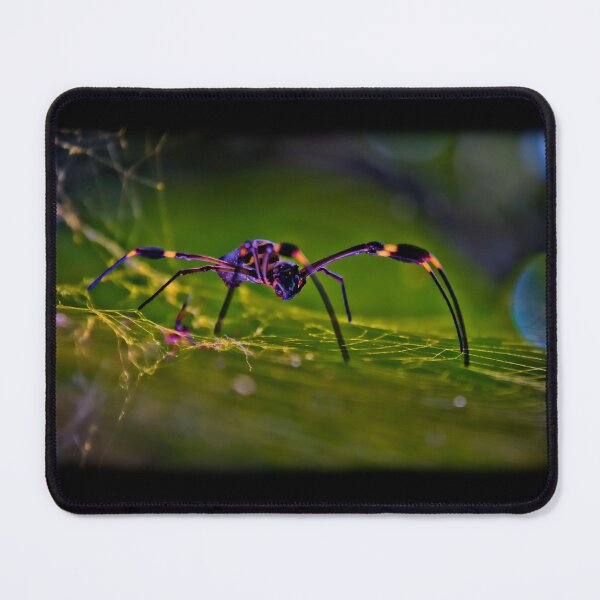 Item preview, Scary But Beneficial designed and sold by alabca.
