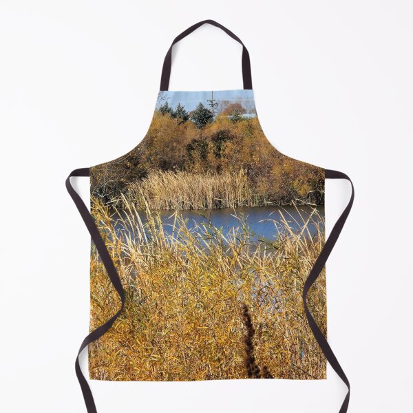 Item preview, The Pond in Autumn designed and sold by Scott and Mary Schneider art_photography.