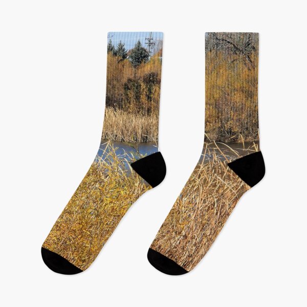 Item preview, The Pond in Autumn designed and sold by Scott and Mary Schneider art_photography.
