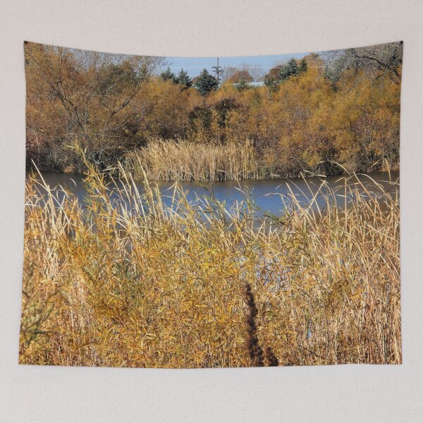 Item preview, The Pond in Autumn designed and sold by Scott and Mary Schneider art_photography.