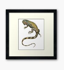 Iguana Tropical Lizard Pet Iguana Lover Framed Print