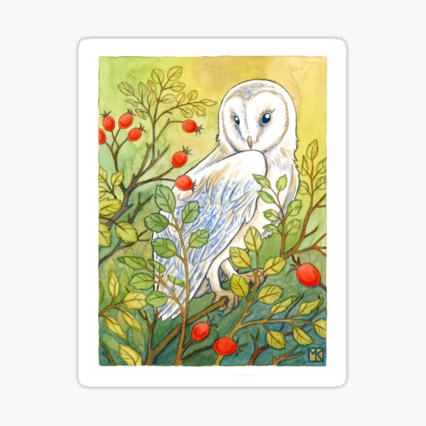 Barn Owl Waterproof Sticker – Botanical Bright - Add a Little Beauty to  Your Everyday