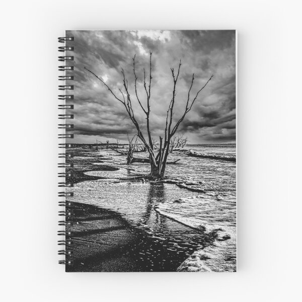 Item preview, Boneyard Beach designed and sold by Wandershotphoto.