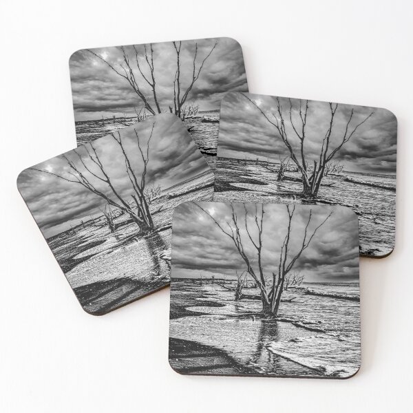 Item preview, Boneyard Beach designed and sold by Wandershotphoto.