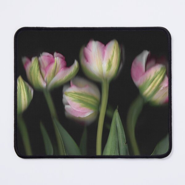 Item preview, 5 Tulips In The Dark designed and sold by lmocimages.