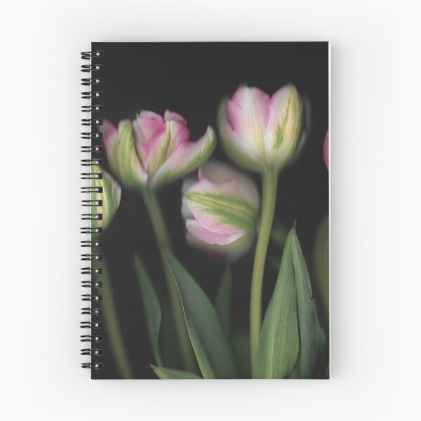 Item preview, 5 Tulips In The Dark designed and sold by lmocimages.