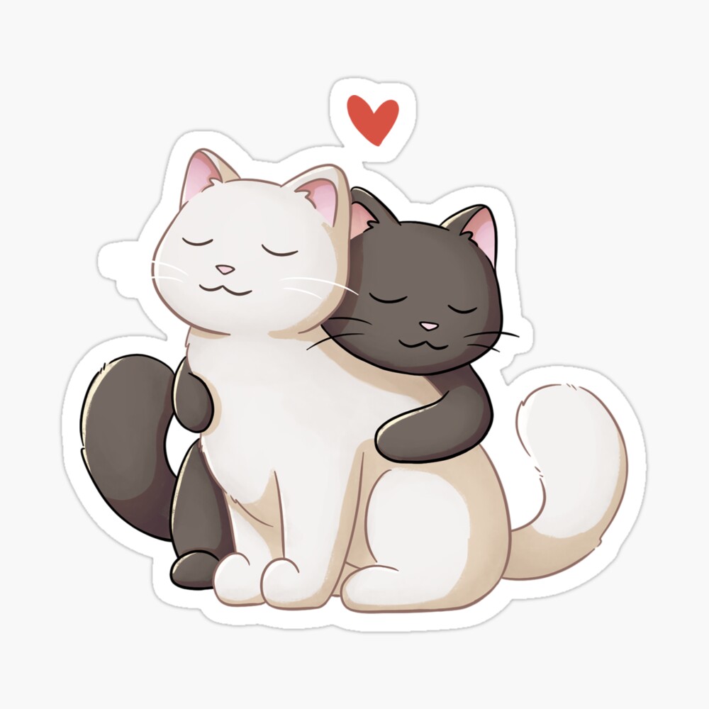 Cat hug