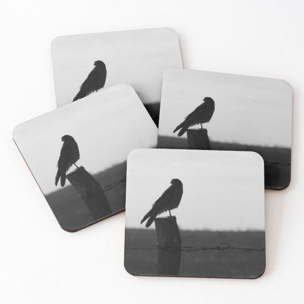 Item preview, Hunting bird on a post, black and white fine art photography designed and sold by nachodramis.