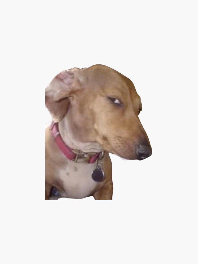 Side eye dog meme Sticker