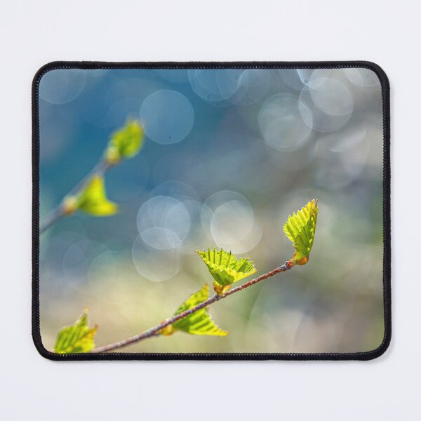 Item preview, Spring 7 designed and sold by Veikko Suikkanen.