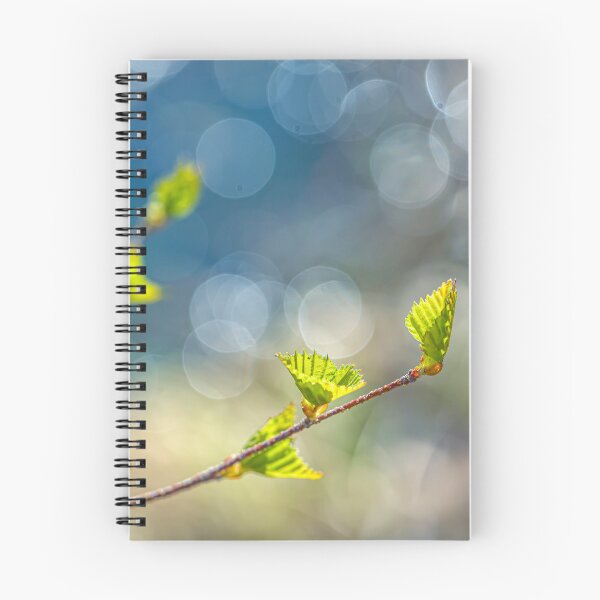 Item preview, Spring 7 designed and sold by Veikko Suikkanen.