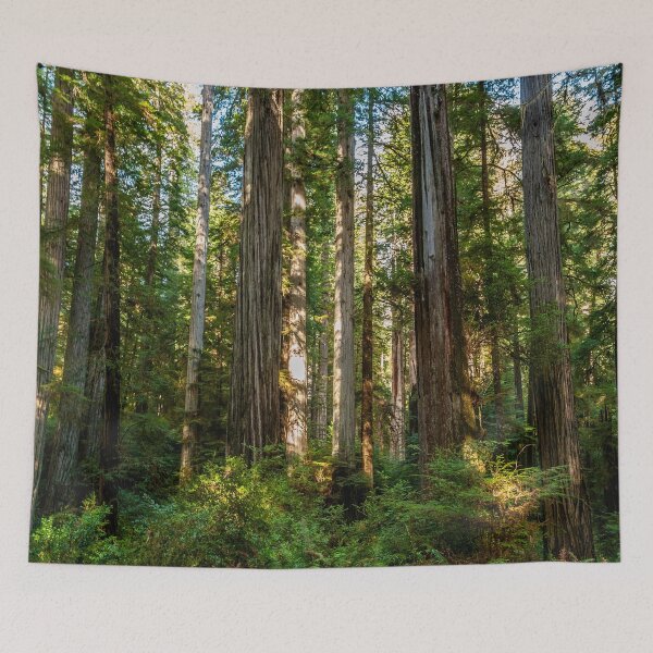 Item preview, Inside the Redwood Forest designed and sold by Bryan Spellman.