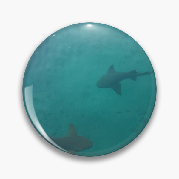 Item preview, Sharks designed and sold by caitlynnjoy.