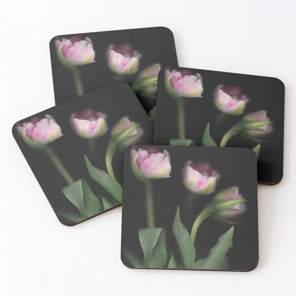 Item preview, 3 Pretty Pink & White Tulips In The Dark designed and sold by lmocimages.