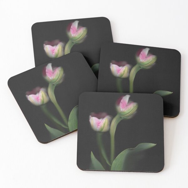 Item preview, 2 Pretty Pink & White Tulips In The Dark designed and sold by lmocimages.