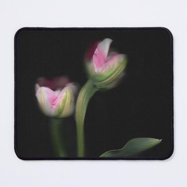 Item preview, 2 Pretty Pink & White Tulips In The Dark designed and sold by lmocimages.