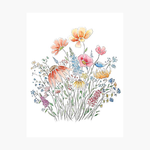 wild flower bouquet and blue bird-line and watercolor 2 Photographic Print
