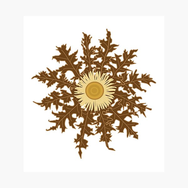 Item preview, Sun flower, Eguzkilore designed and sold by VictoriaMoranM.