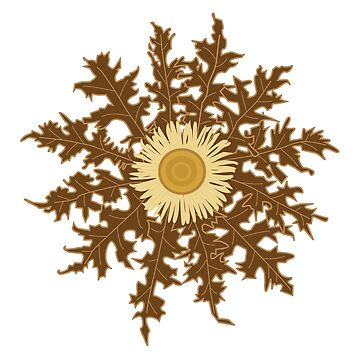 Aperçu de l'œuvre Tournesol, Eguzkilore de VictoriaMoranM